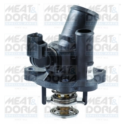 Thermostat, coolant